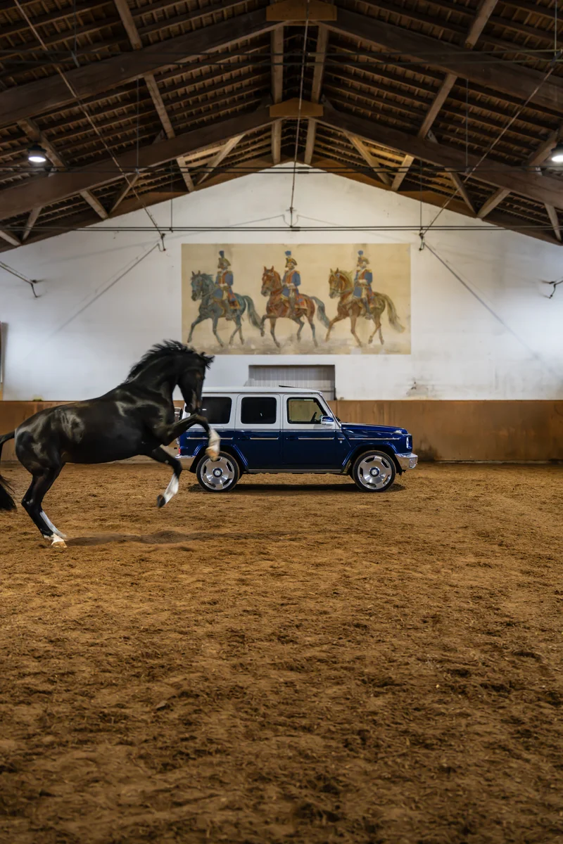 Mercedes-Benz G Klasse, fotografiert von Nikografie, Bild 2 von 12
