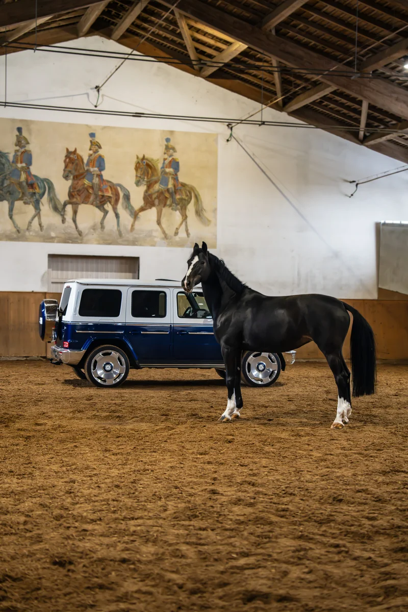 Mercedes-Benz G Klasse, fotografiert von Nikografie, Bild 5 von 12