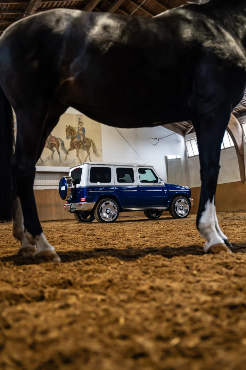Mercedes-Benz G Klasse, fotografiert von Nikografie, Bild 11 von 12