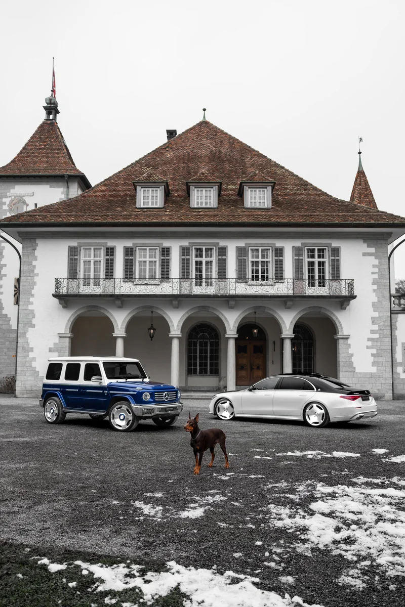 Mercedes-Benz mit Dobermann, fotografiert von Nikografie, Bild 2 von 10