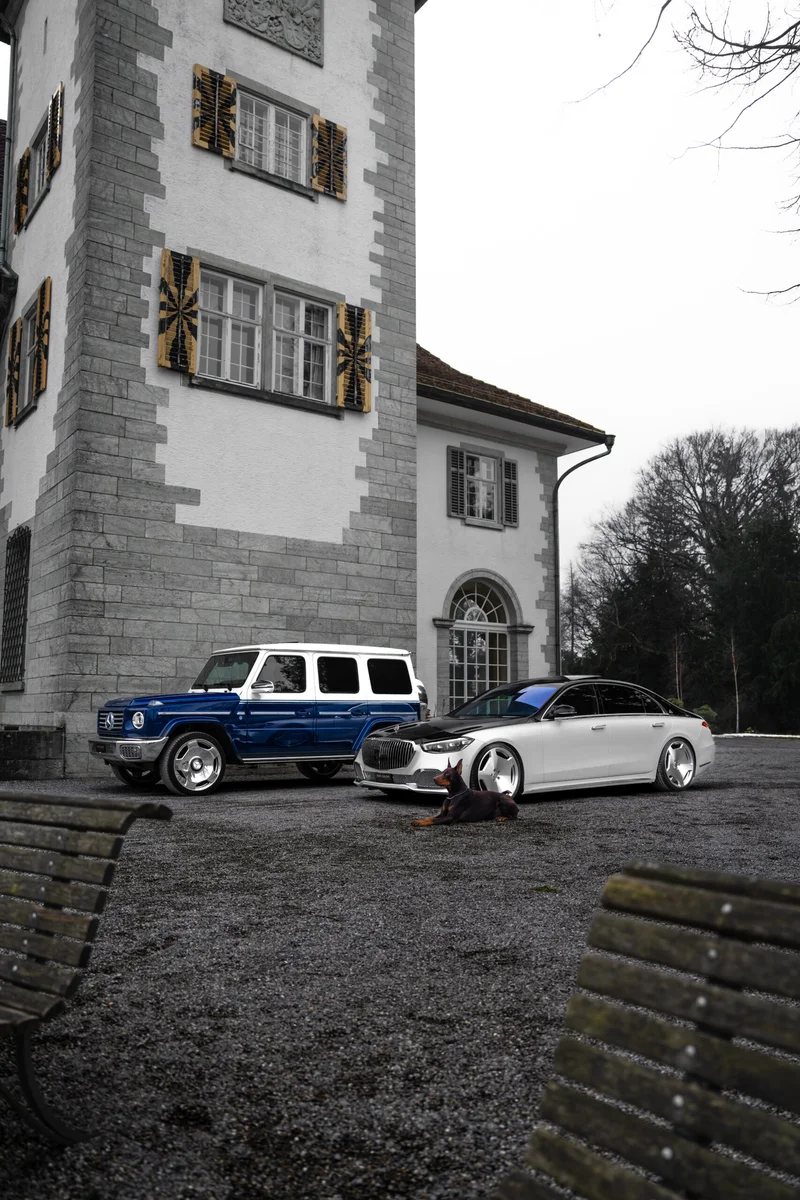 Mercedes-Benz mit Dobermann, fotografiert von Nikografie, Bild 7 von 10