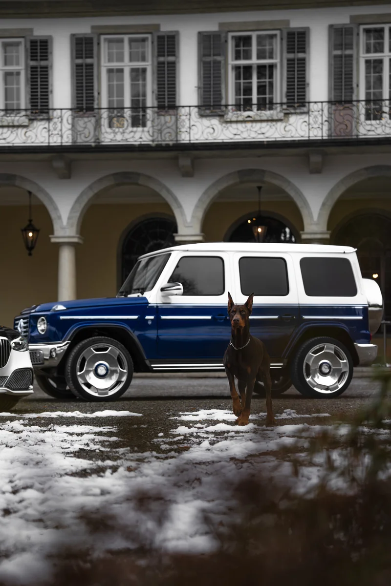 Mercedes-Benz mit Dobermann, fotografiert von Nikografie, Bild 8 von 10