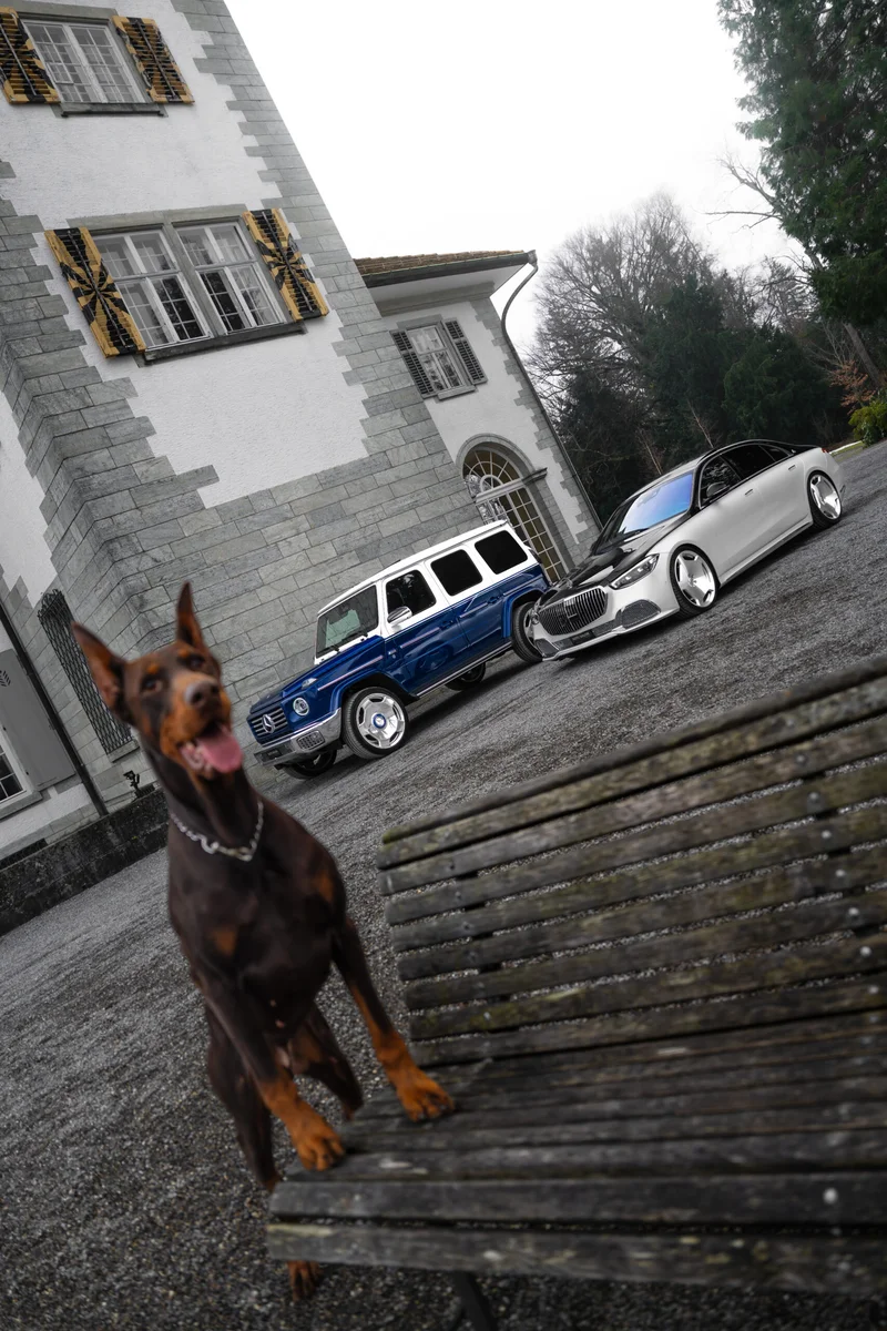 Mercedes-Benz mit Dobermann, fotografiert von Nikografie, Bild 9 von 10